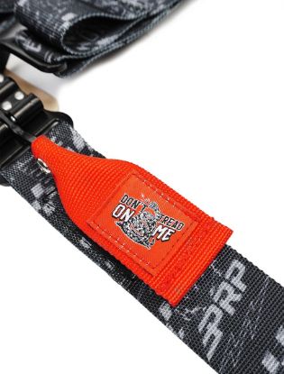 Picture of PRP Seat Belt Harness - SB5.3TR