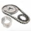Picture of PRW Engine Timing Chain - 5036412
