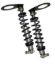 Picture of Ridetech Coilover Spring and Shock Assembly - 11216110