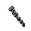 Picture of Top Street Performance Engine Camshaft - 75302