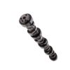 Picture of Top Street Performance Engine Camshaft - 75303