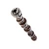 Picture of Top Street Performance Engine Camshaft - 75384