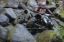 Picture of Warn Winch Bumper - 62327