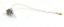 Picture of Warn Tail Light Bulb - 63815