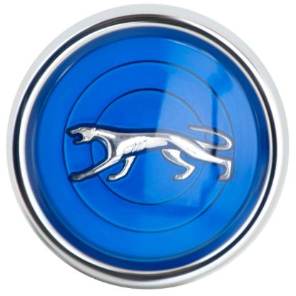 Picture of Wheel Vintiques Wheel Hub Cap - 2034