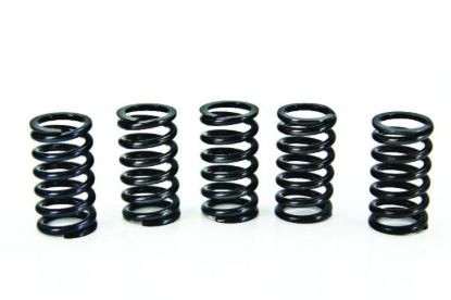 PROX CLUTCH SPRING KIT CRF250R '10-11