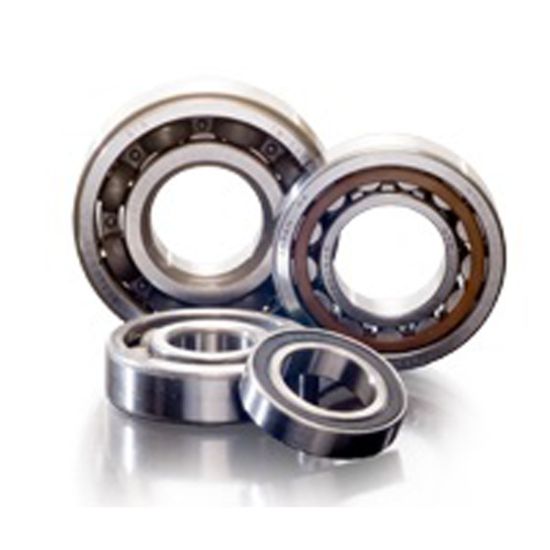 BEARING 60/22 2-SIDE SEALED 22X44X12