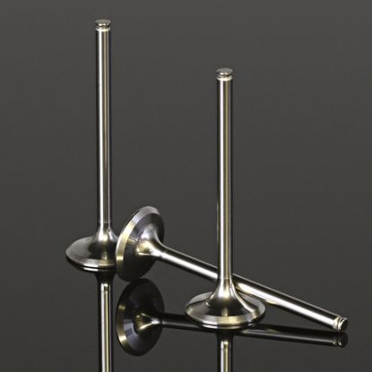TITANIUM INTAKE VALVE