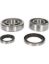 PROX CRNKSHFT BRNG&SEAL YFZ350 BANSHEE