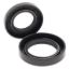 ALL BALLS CRANK SHAFT SEAL KIT