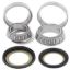 ALL BALLS RACING STEERING BEARING KIT