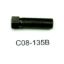 CHAIN TOOL BODY BOLT