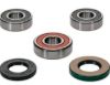 PIVOT WORKS WHEEL BEARING KIT PREMIUM BEARINGS