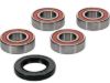 PIVOT WORKS WHEEL BEARING KIT PREMIUM BEARINGS