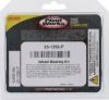 PIVOT WORKS WHEEL BEARING KIT PREMIUM BEARINGS