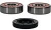 PIVOT WORKS WHEEL BEARING KIT PREMIUM BEARINGS