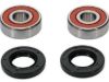 PIVOT WORKS WHEEL BEARING KIT PREMIUM BEARINGS