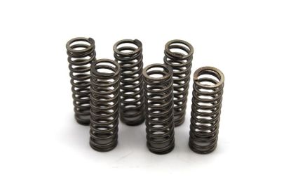 EBC CLUTCH SPRINGS