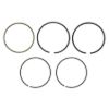 NAMURA RING SET