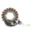 RMSTATOR KIT STATOR + CRANKCASE COVER GASKET