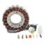 RMSTATOR GENERATOR STATOR