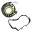 RMSTATOR KIT STATOR + CRANKCASE COVER GASKET