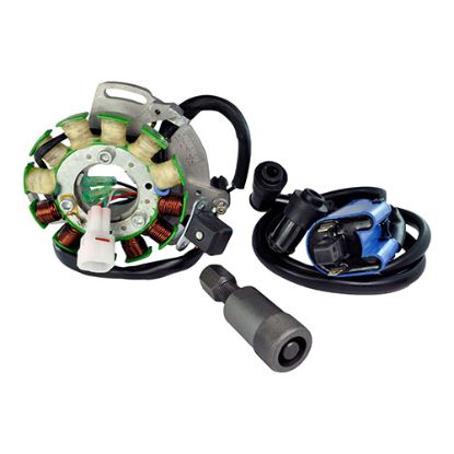 RMSTATOR KIT STATOR 100 W + EXT IGN COIL + BACKPLATE + PULLER