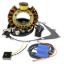 RMSTATOR KIT STATOR + CRANKCASE COVER GASK + EXT IGN COIL