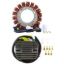 RMSTATOR KIT STATOR + VOLTAGE REGULATOR RECTIFIER