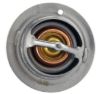 RMSTATOR THERMOSTAT