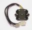 RICK'S ELECTRIC, OE STYLE REC/REG
