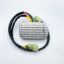 RICK'S ELECTRIC RECTIFIER-REGULATOR