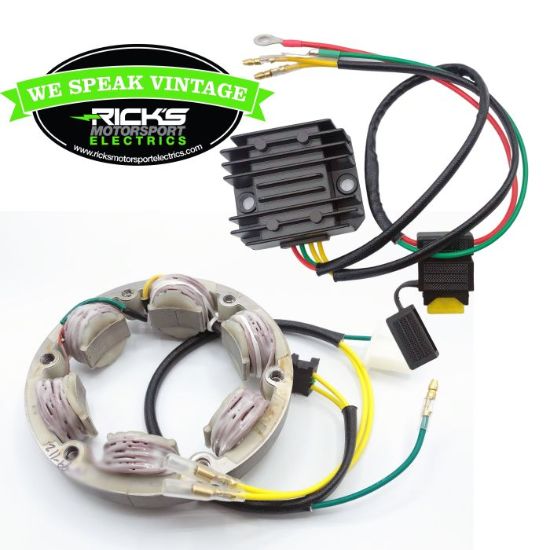 RICK'S ELECTRIC CHARGING KIT