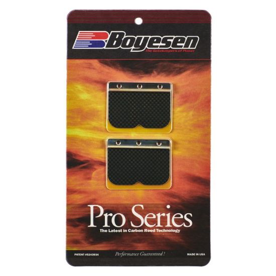 BOYESEN RAGE CAGE REPLACEMENT REEDS