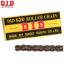D.I.D NON-SEALED CHAIN 520 X 102RB