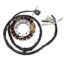 ELECTROSPORT STATOR YAMAHA ESG315