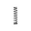 EPI SUSPENSION SPRINGS