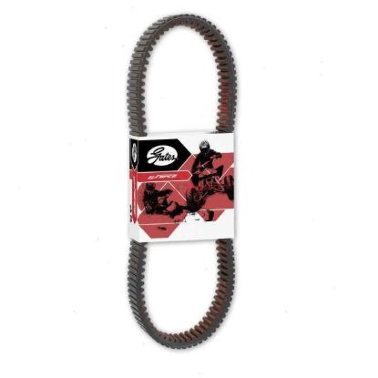 GATES G FORCE DRIVE BELT