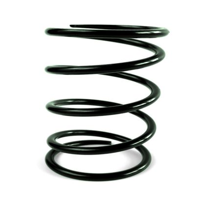 CLUTCH SPRING