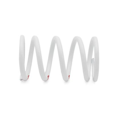 EPI PRIMARY CLUTCH SPRING - WHITE/RED