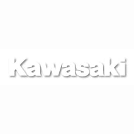 FX 2015 3' DIE-CUT STICKERS KAWASAKI (WHITE)