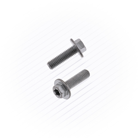 LRG FLG EURO BOLT 6X20MM 10/PK