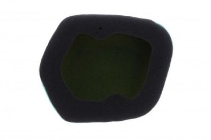 TWIN AIR PRE-OILED AIR FILTER FOR KIT