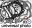 VERTEX COMPLETE GASKET KIT