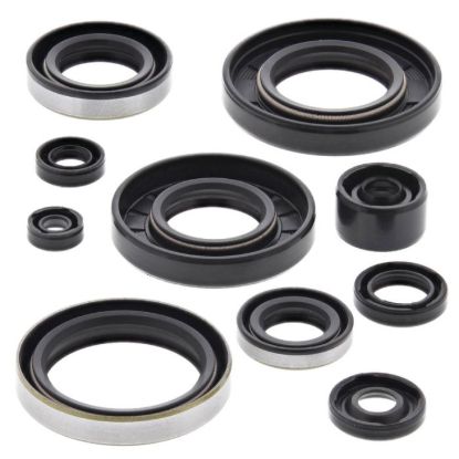 VERTEX ENGINE OIL SEAL KIT