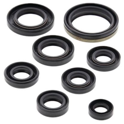VERTEX ENGINE OIL SEAL KIT