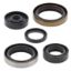 VERTEX ENGINE OIL SEAL KIT