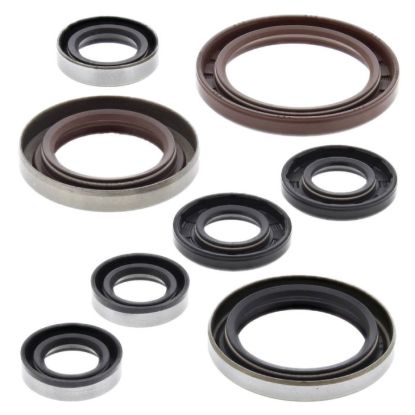 VERTEX ENGINE OIL SEAL KIT