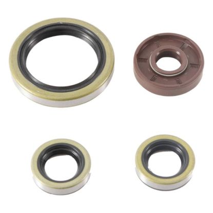 VERTEX ENGINE OIL SEAL KIT
