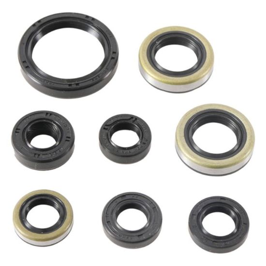 VERTEX ENGINE OIL SEAL KIT